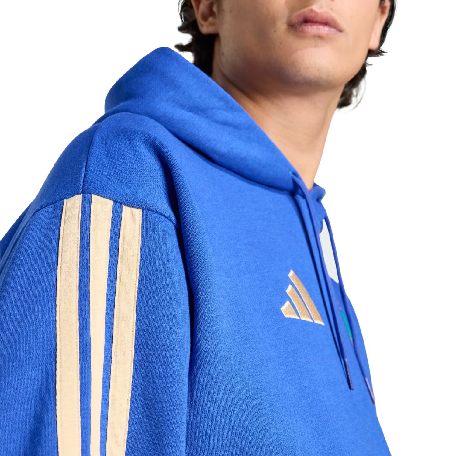 adidas FIGC Men's DNA Fleece Hoodie