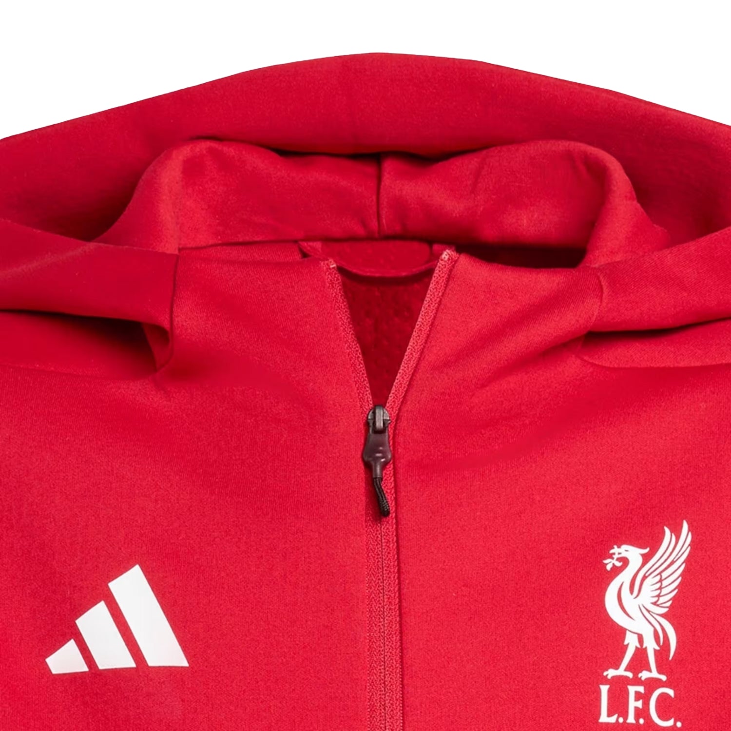 adidas Liverpool FC 25/26 Youth Anthem Jacket