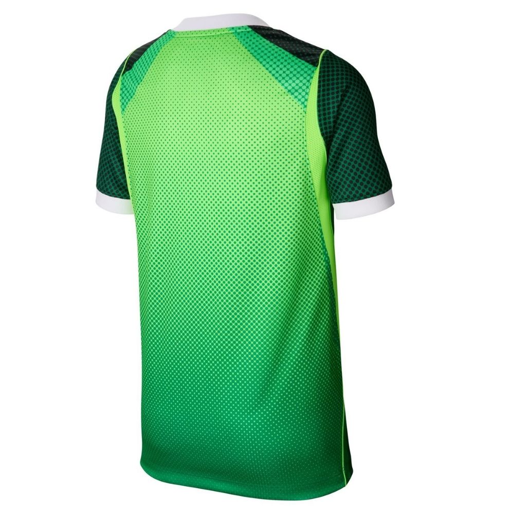 Nike NFF Nigeria WC '26 Youth Home Jersey