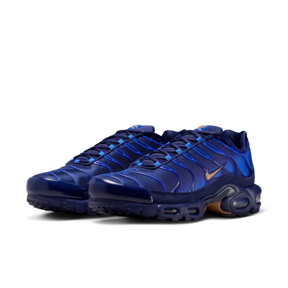 Nike Air Max Plus OG "France" Shoes