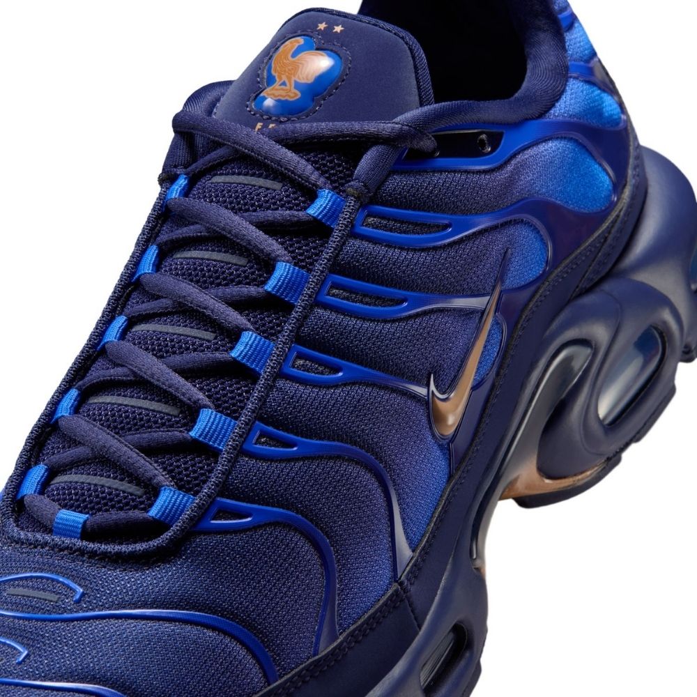 Nike Air Max Plus OG "France" Shoes