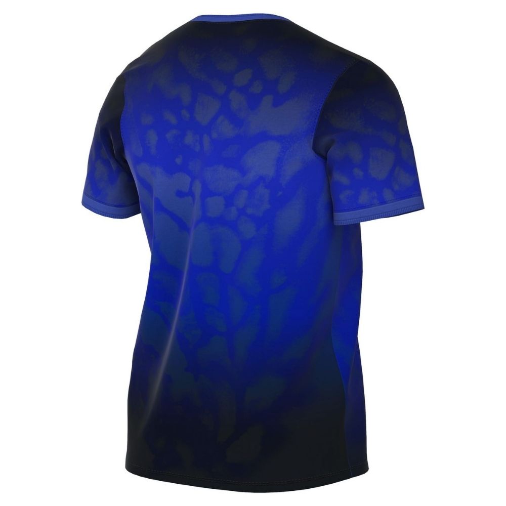 Nike Jordan CBF Brazil WC '26 Academy Pro Men's Jeresey