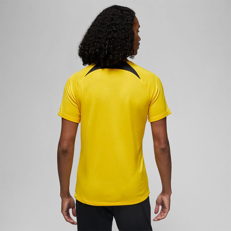 Nike Paris Saint-Germain Youth Academy Pro Jersey