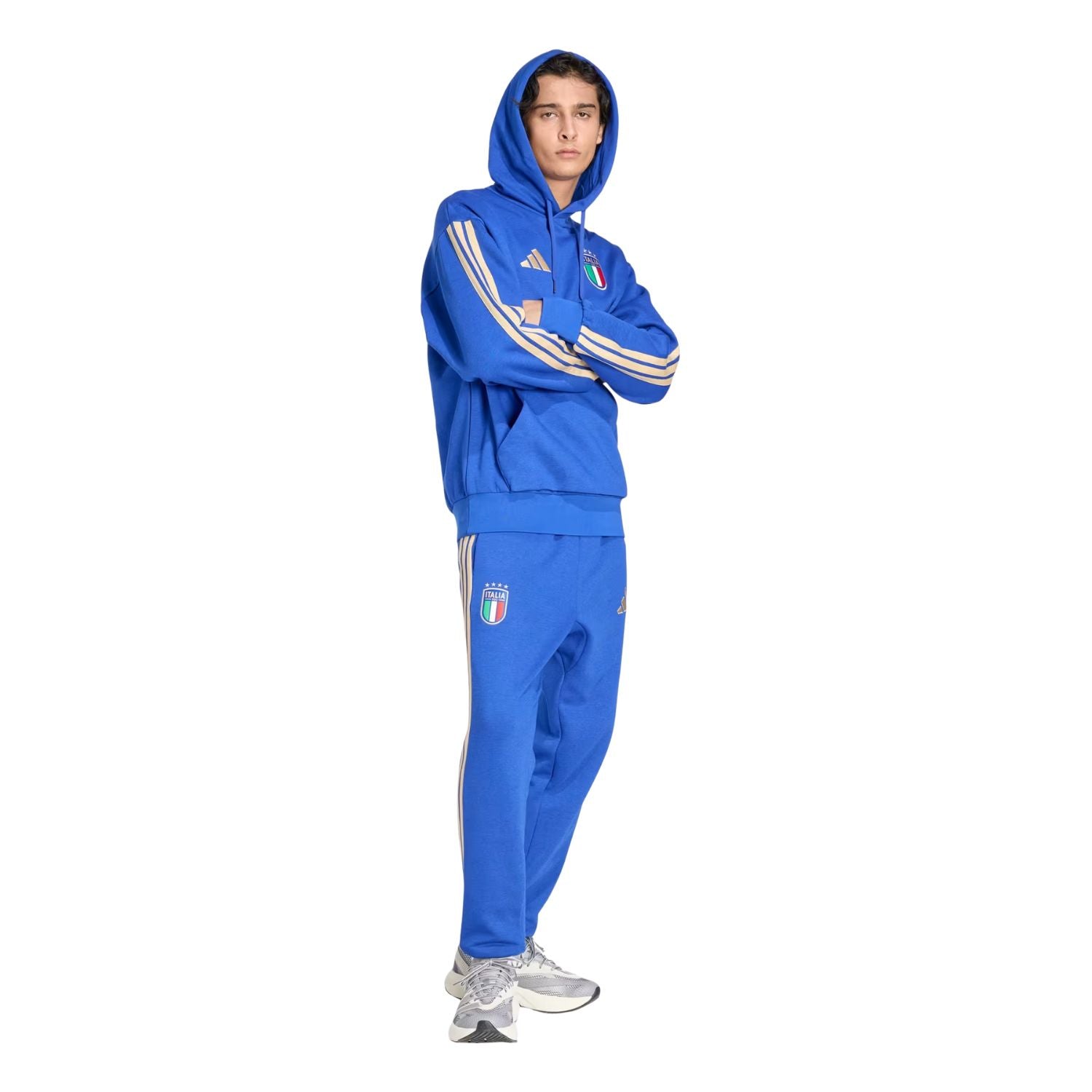 adidas FIGC Men's DNA Fleece Hoodie