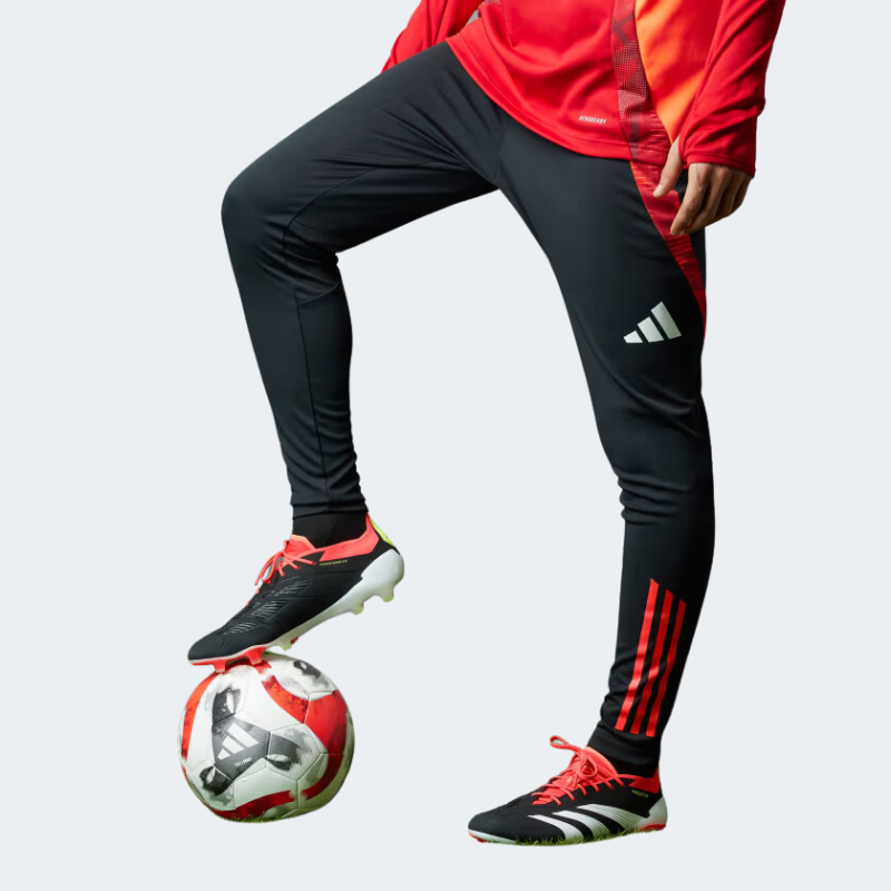 Adidas predator pants online