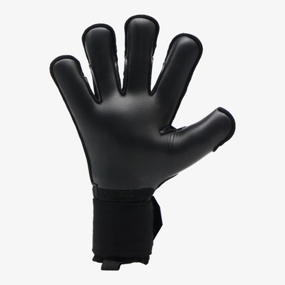 RG Aspro Blackout Goalkeeper Gloves