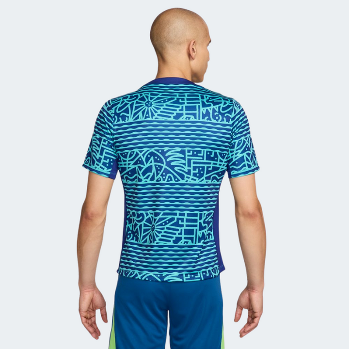 Nike CBF Brazil Men's Academy Pro Pre-Match Top