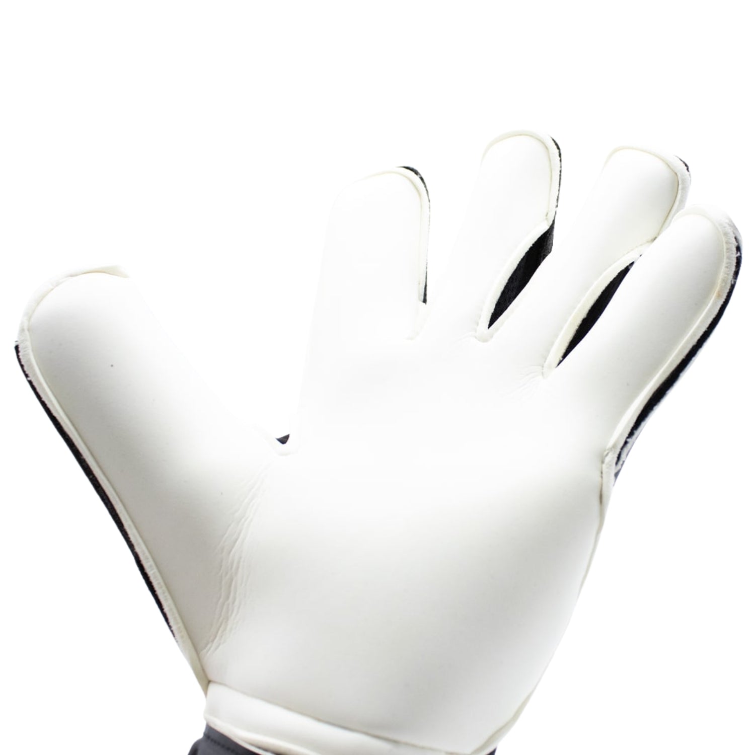 TwoFive Rosario '78 Advance GoalKeeper Gloves