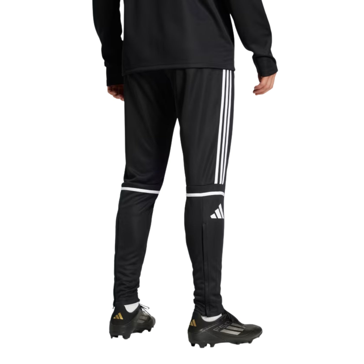 adidas Squadra 25 Men's Training Pant
