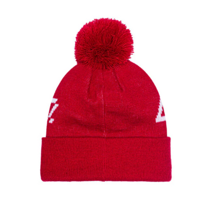 Fan Ink SL Benfica Pixel Pom Beanie