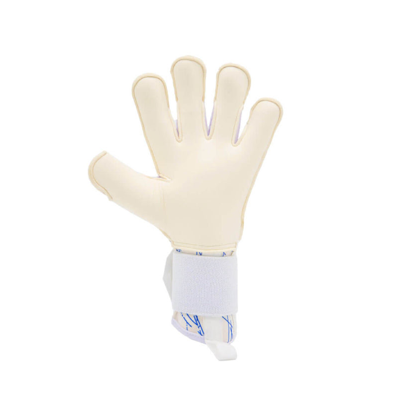 RG Aspro Goalkeeper Gloves - Blue/White