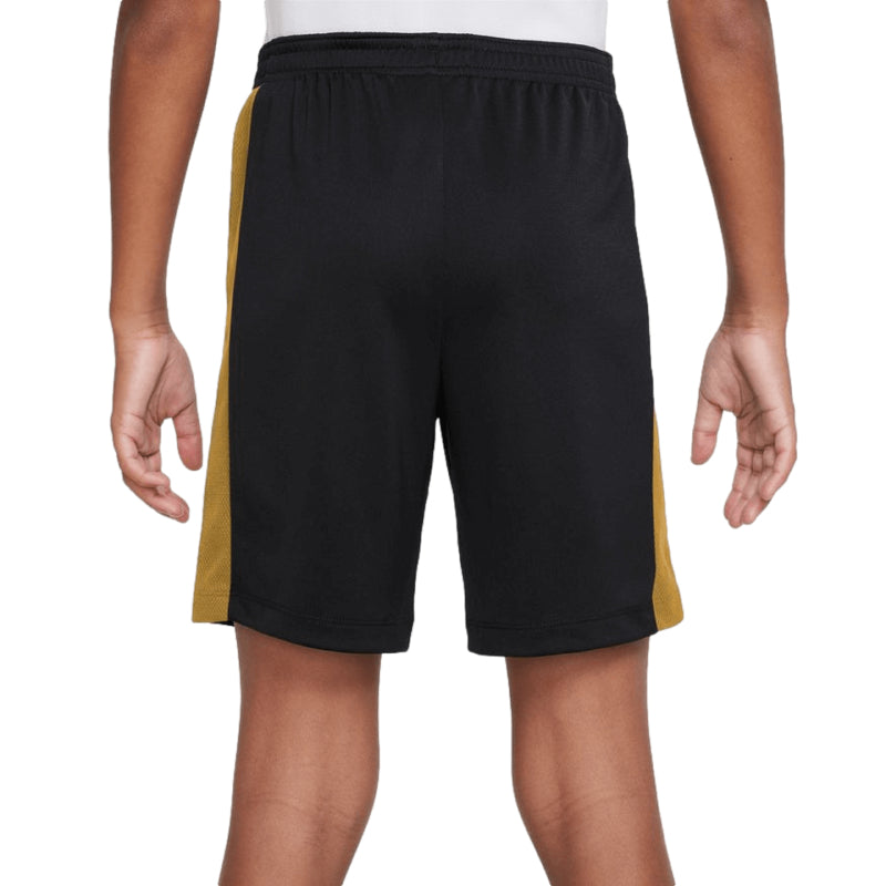 Nike Dri-Fit Academy Youth Shorts