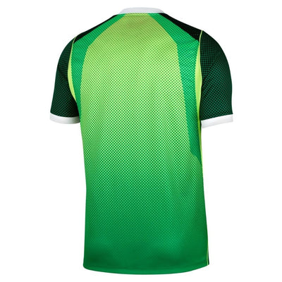 Nike NFF Nigeria WC '26 Men's Home Jersey
