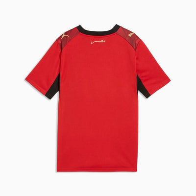 Puma EFA Egypt WC '26 Youth Home Replica Jersey