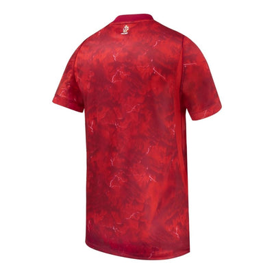Nike PZPN Poland 26/27 Away Stadium Men's Jersey