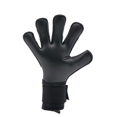 RG Aspro Blackout Goalkeeper Gloves